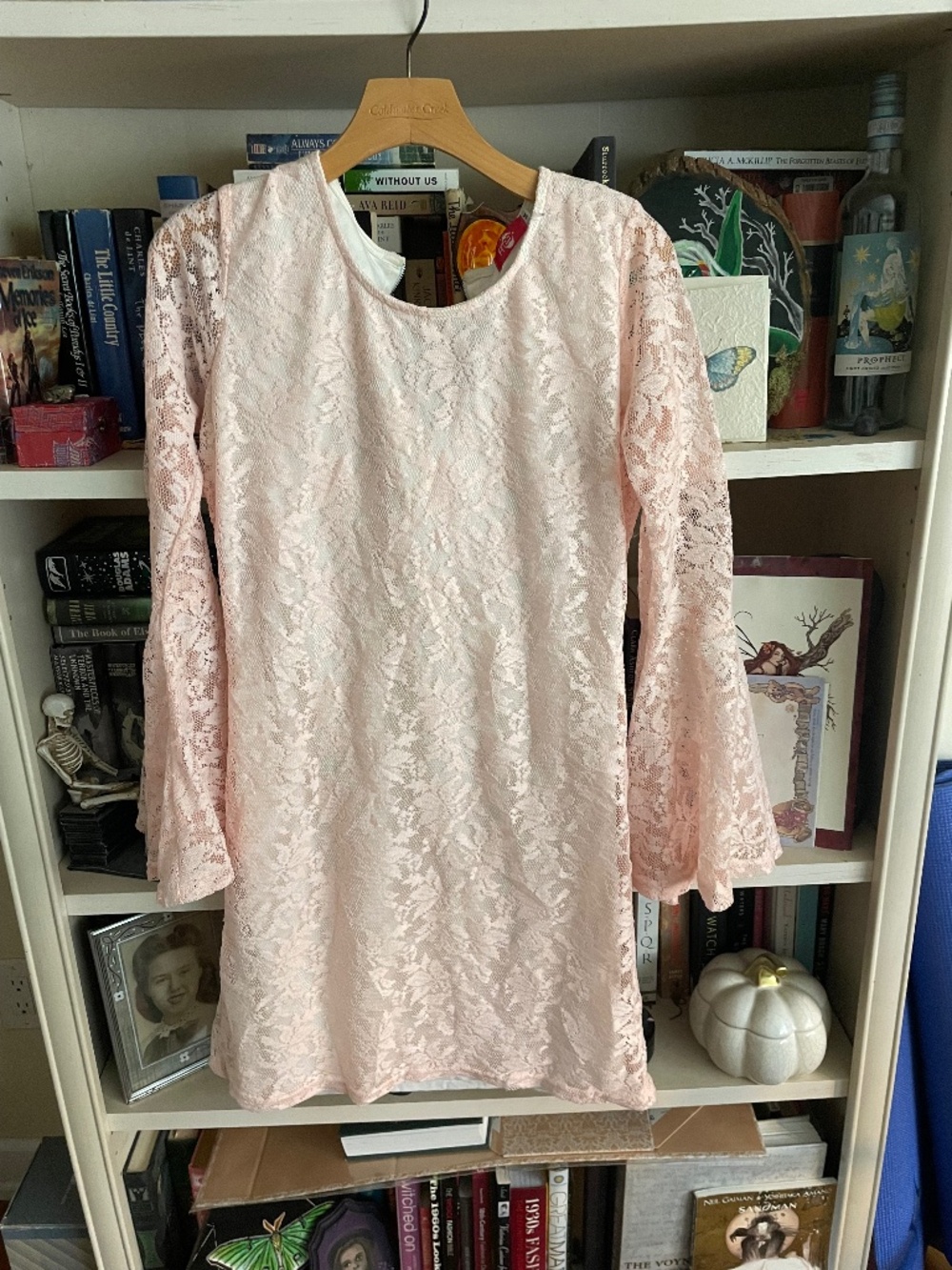 Pink Lacy Bell Sleeves Mini Dress